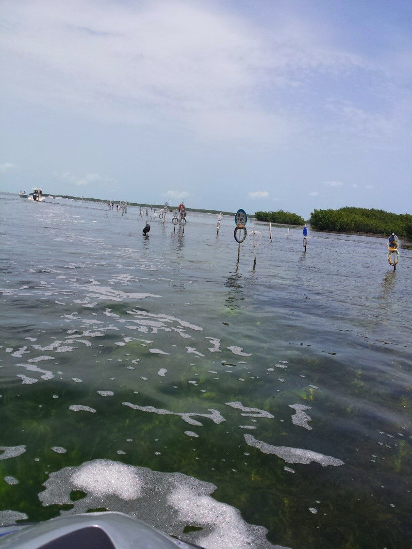 Have you ever been through the Toilet Seat Channel? Florida Keys Real